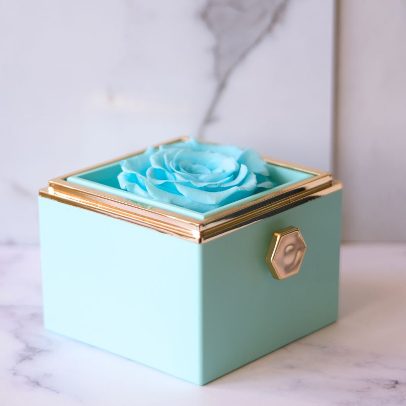 Ewige Rosenbox – Plüsch-Halskette & Echte Rose