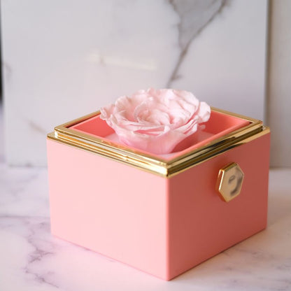 Ewige Rosenbox – Plüsch-Halskette & Echte Rose